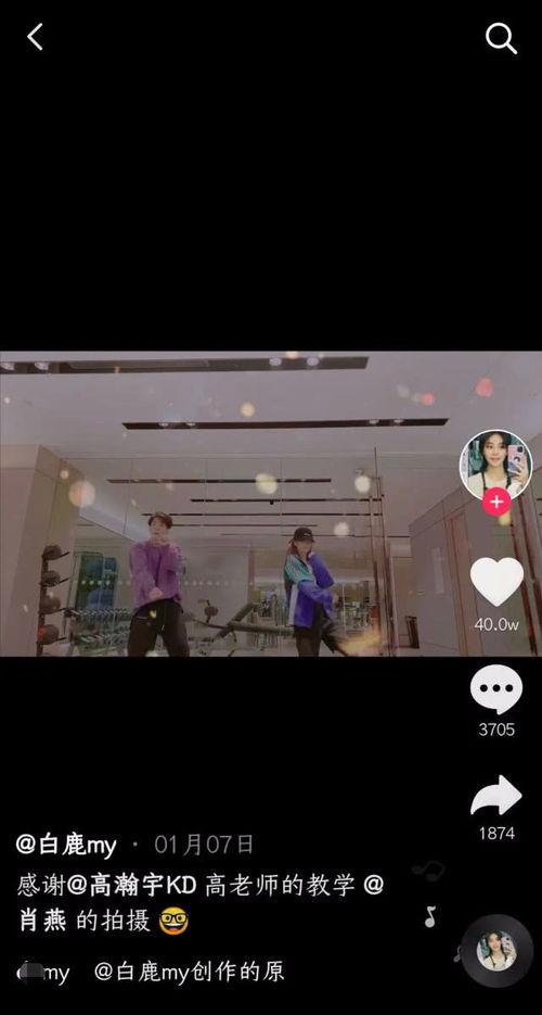 日本XXX69视频在线,一场激情四溢的视觉盛宴