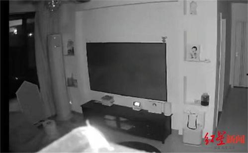 家里监控视频,一窥日常生活的安全守护