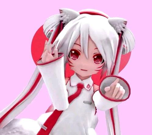 九尾m福利视频,揭秘神秘福利内容，带你领略独特魅力