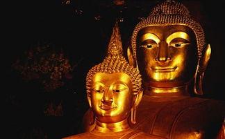 念佛往生视频,见证信仰的力量与奇迹