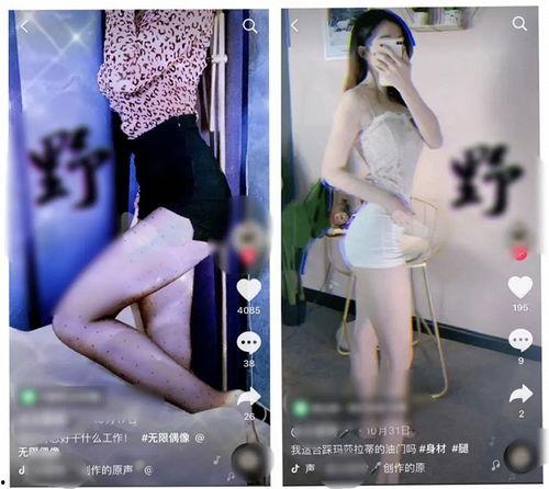 搞黄视频,警惕“搞黄视频”的传播与危害