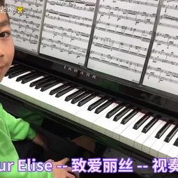 两只老虎钢琴视频教学,轻松学会两只老虎