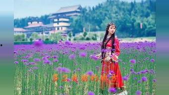 苏允的视频,揭秘生活智慧，点亮人生精彩