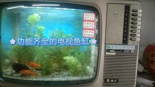 鱼缸制作视频教程全集,从入门到精通
