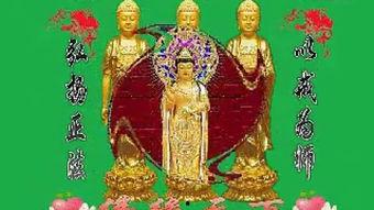 三清经视频,探寻道家智慧之源