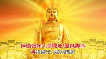 三清经视频,探寻道家智慧之源